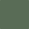 Benjamin Moore Color HC-121 Paele Green